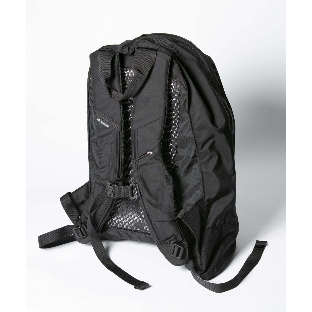 Gregory Fine Day Backpack 16L  - Women Bags Casual ulasan dan harga